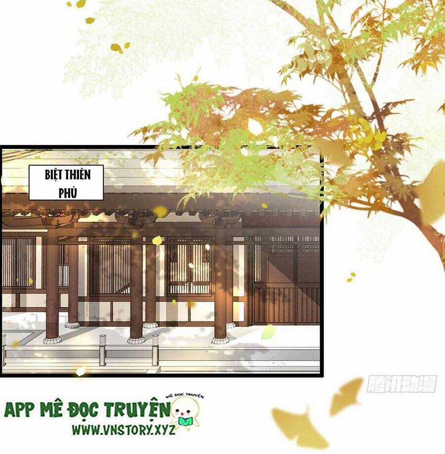 Phượng Hoàng Vu Phi Chapter 125 trang 11