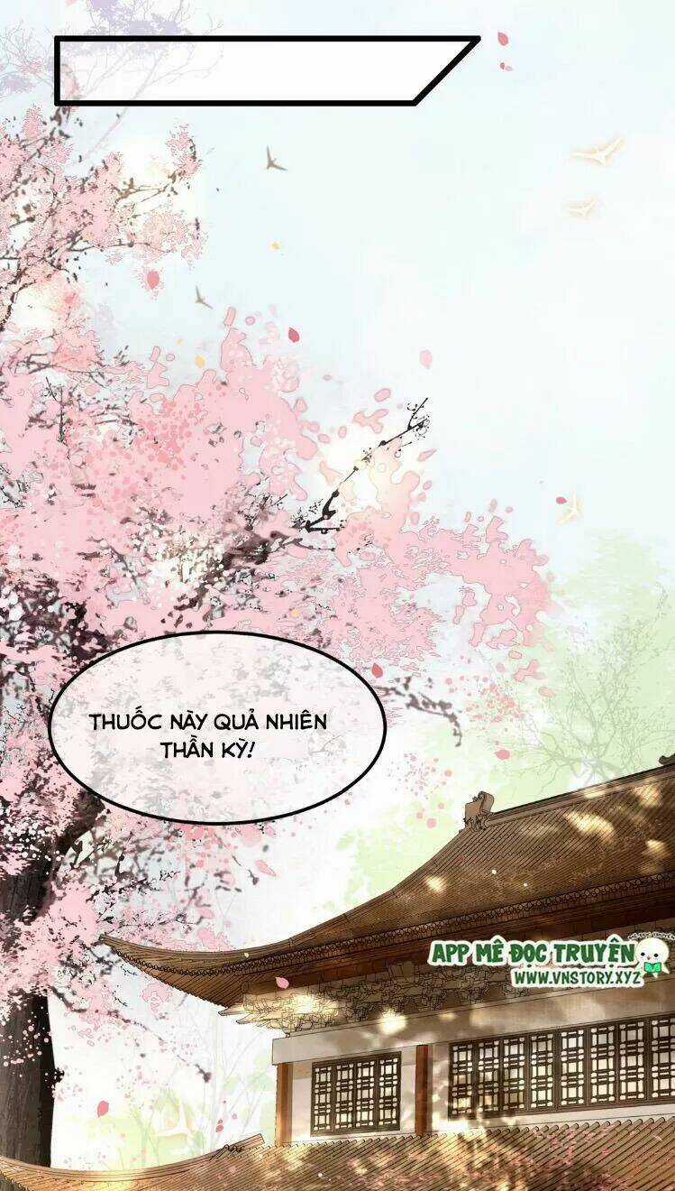 Phượng Hoàng Vu Phi Chapter 16 trang 8