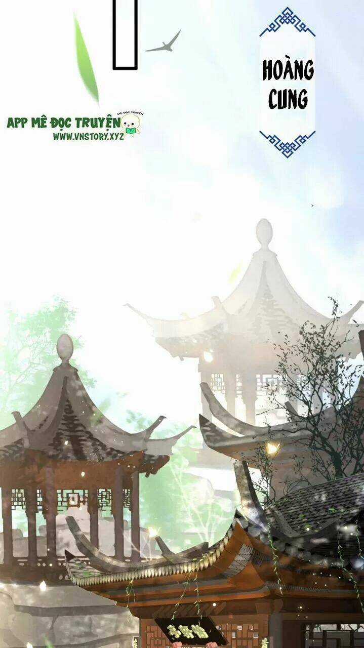 Phượng Hoàng Vu Phi Chapter 17 trang 11