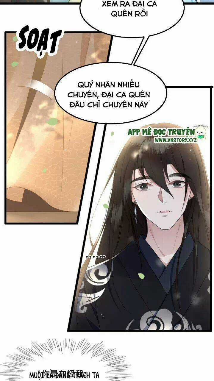 Phượng Hoàng Vu Phi Chapter 17 trang 7