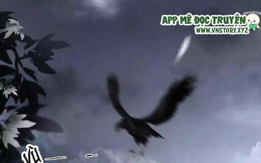 Phượng Hoàng Vu Phi Chapter 2 trang 3