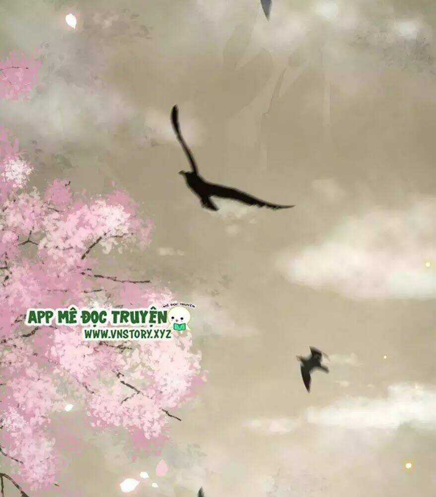 Phượng Hoàng Vu Phi Chapter 2 trang 41