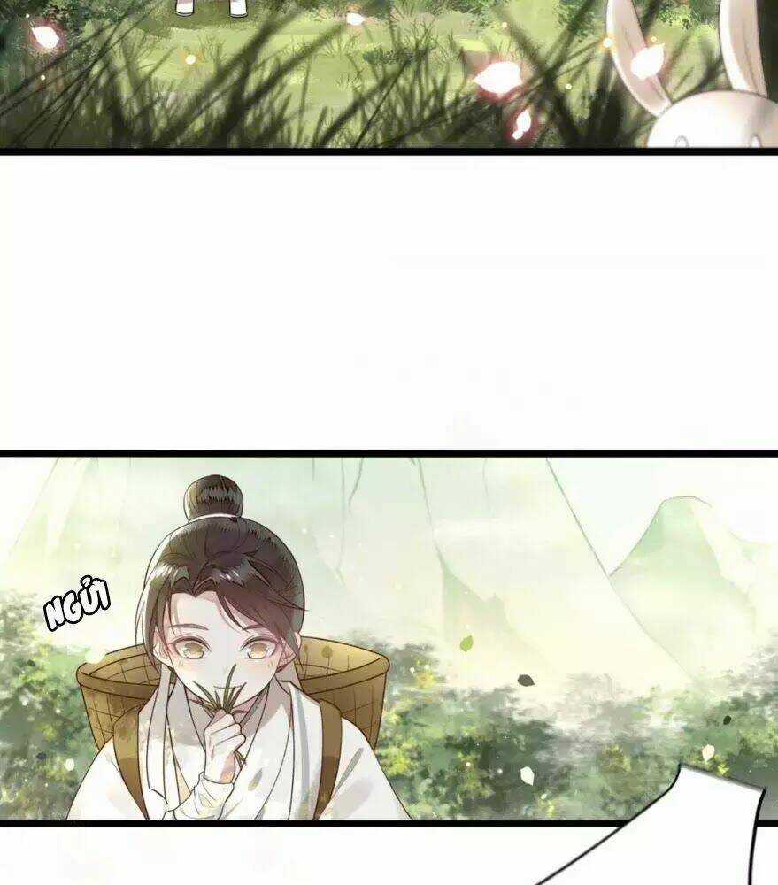 Phượng Hoàng Vu Phi Chapter 2 trang 45