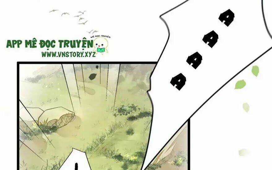 Phượng Hoàng Vu Phi Chapter 2 trang 46