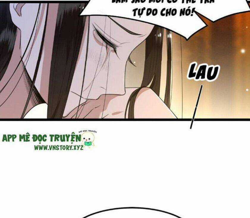 Phượng Hoàng Vu Phi Chapter 21 trang 26