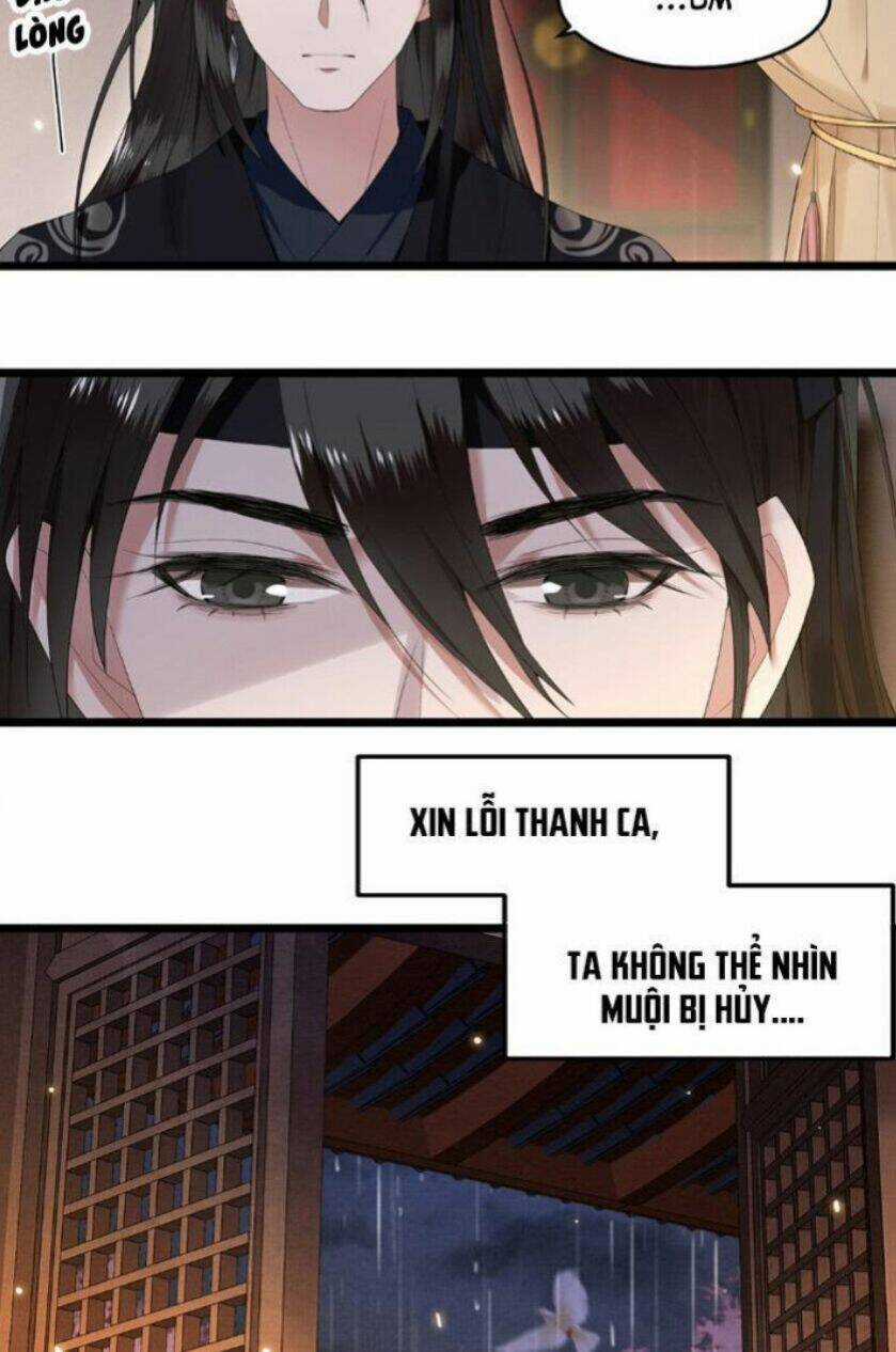 Phượng Hoàng Vu Phi Chapter 23 trang 11