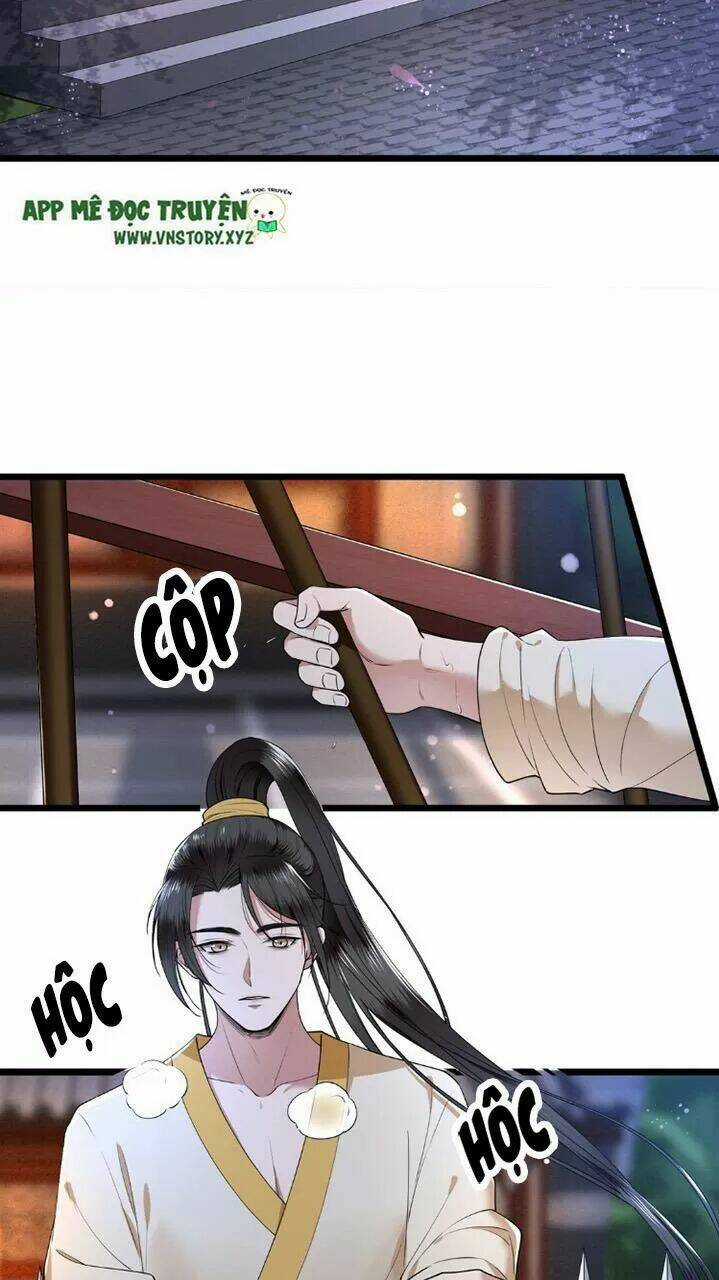 Phượng Hoàng Vu Phi Chapter 26 trang 8