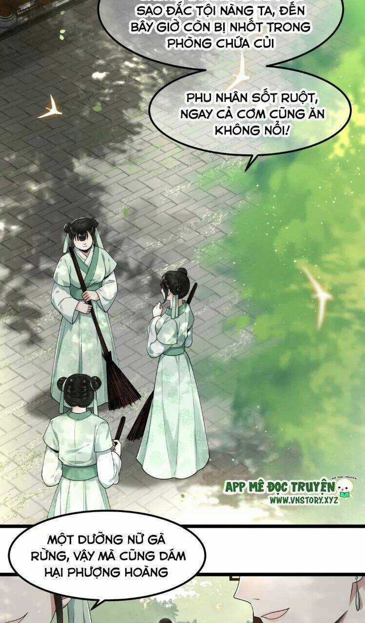 Phượng Hoàng Vu Phi Chapter 27 trang 8