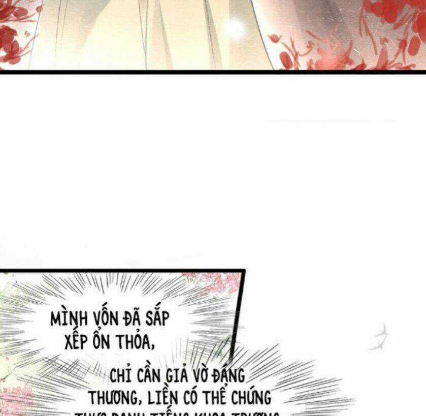 Phượng Hoàng Vu Phi Chapter 28 trang 12