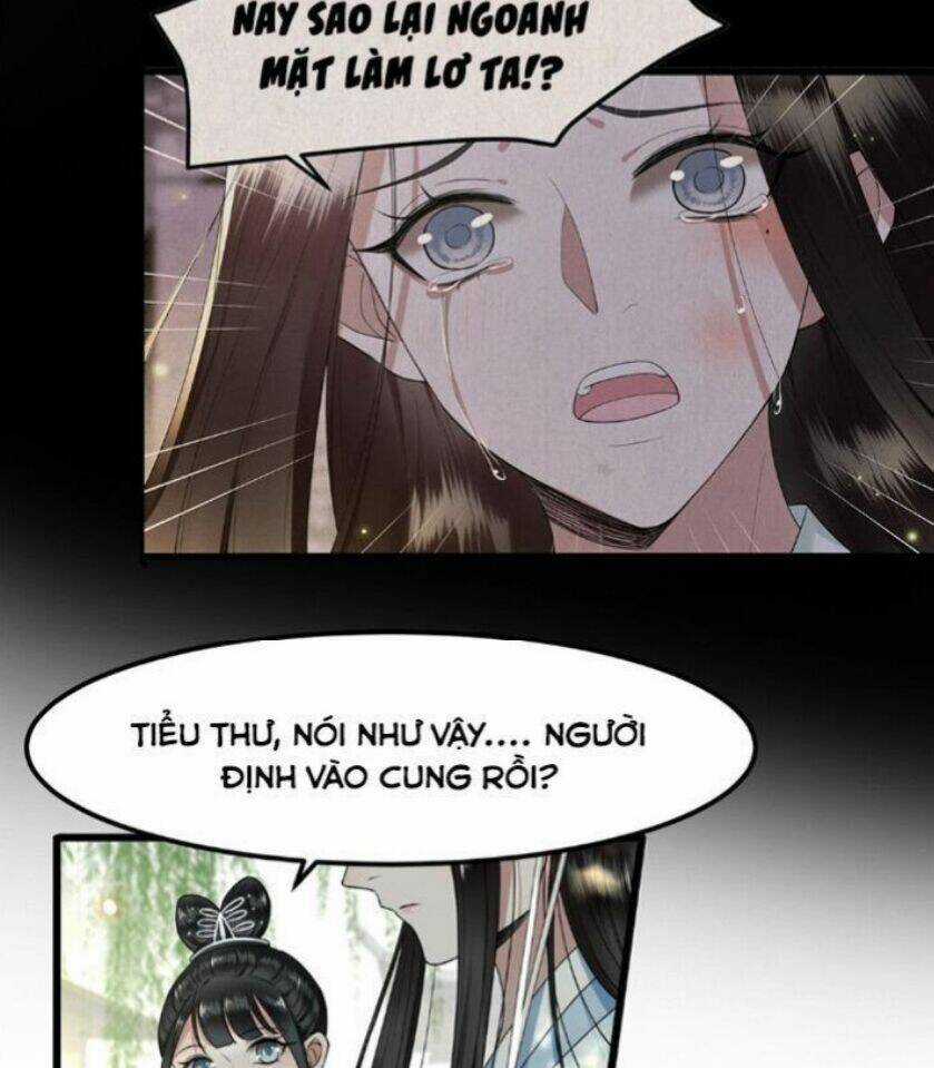 Phượng Hoàng Vu Phi Chapter 28 trang 23