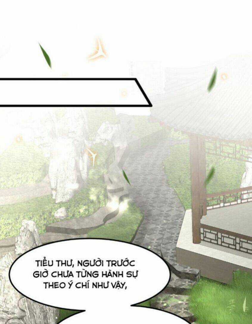 Phượng Hoàng Vu Phi Chapter 29 trang 17