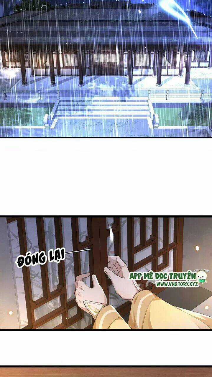 Phượng Hoàng Vu Phi Chapter 31 trang 5