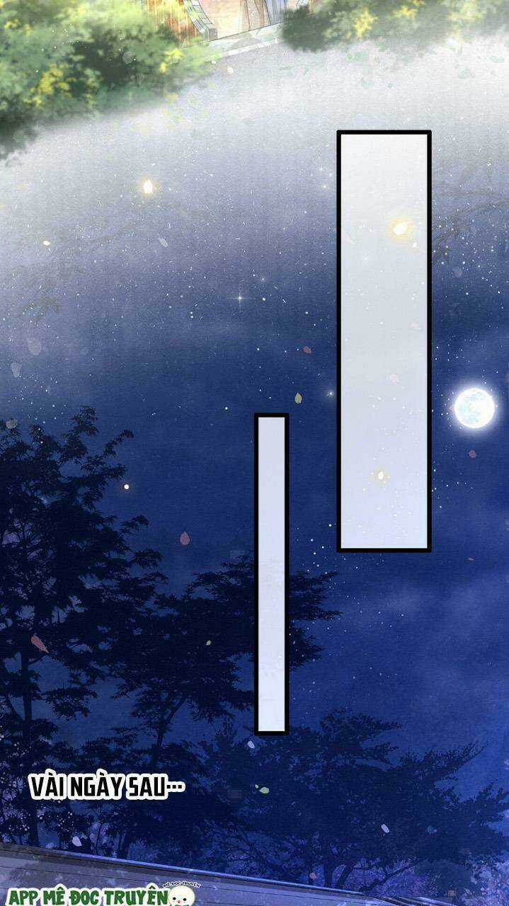 Phượng Hoàng Vu Phi Chapter 35 trang 15