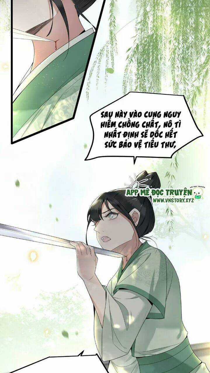 Phượng Hoàng Vu Phi Chapter 36 trang 14