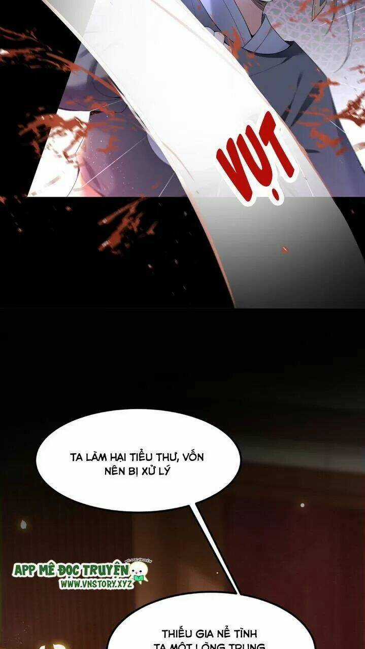 Phượng Hoàng Vu Phi Chapter 36 trang 17