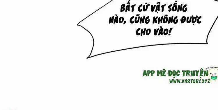 Phượng Hoàng Vu Phi Chapter 4 trang 51