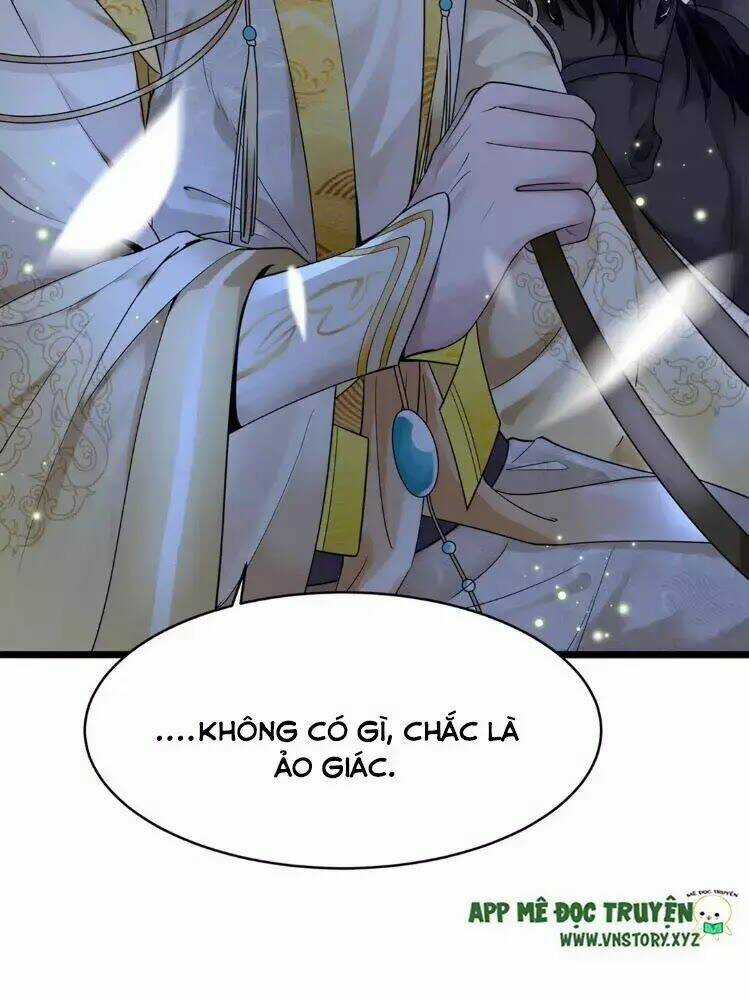 Phượng Hoàng Vu Phi Chapter 4 trang 8