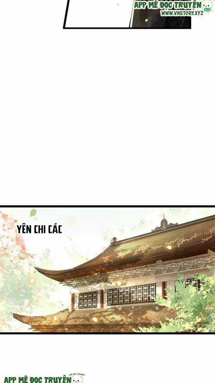 Phượng Hoàng Vu Phi Chapter 40 trang 10