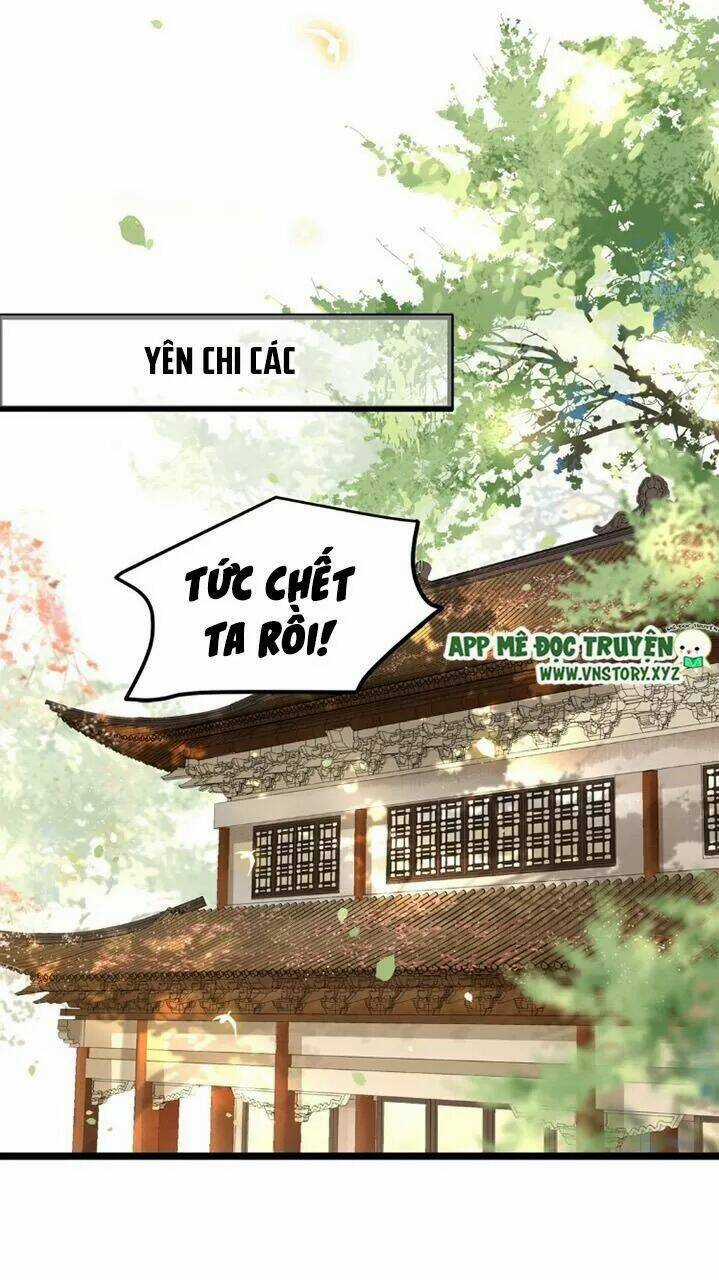 Phượng Hoàng Vu Phi Chapter 41 trang 15