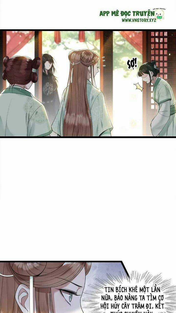 Phượng Hoàng Vu Phi Chapter 43 trang 5