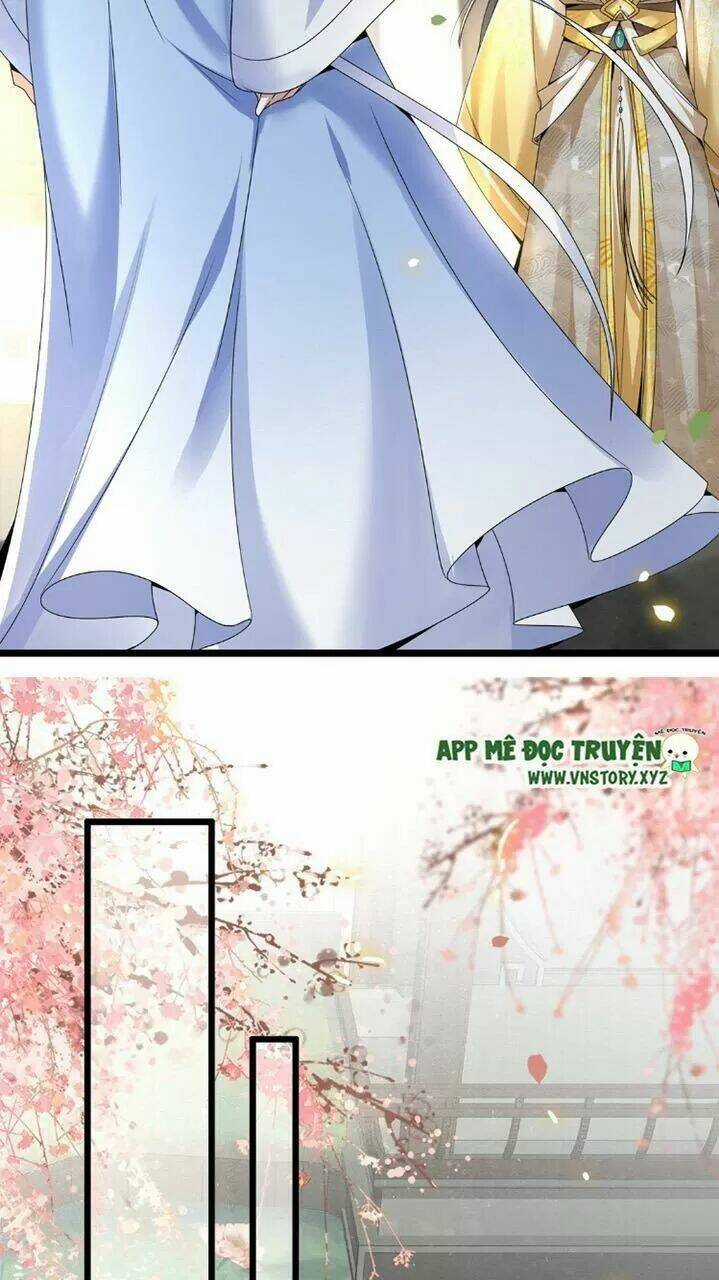 Phượng Hoàng Vu Phi Chapter 46 trang 11