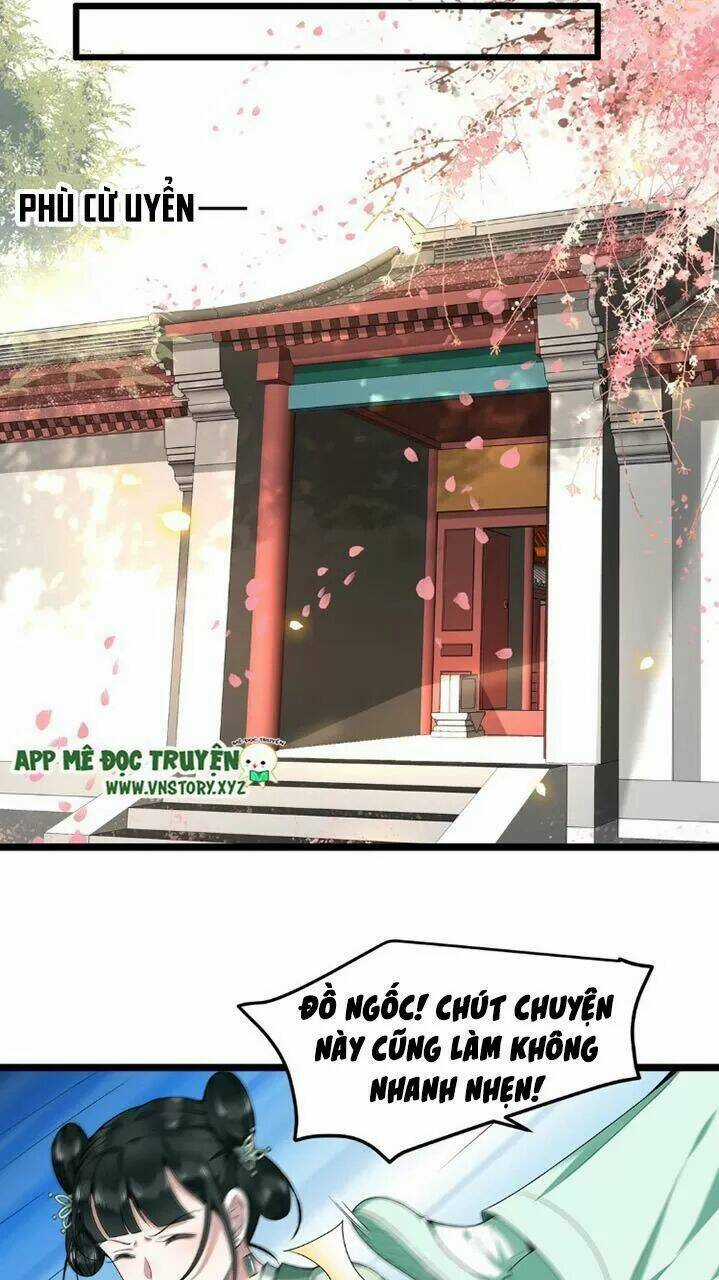 Phượng Hoàng Vu Phi Chapter 47 trang 4