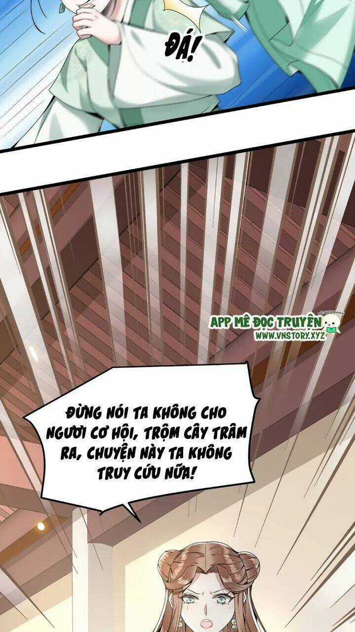 Phượng Hoàng Vu Phi Chapter 47 trang 5