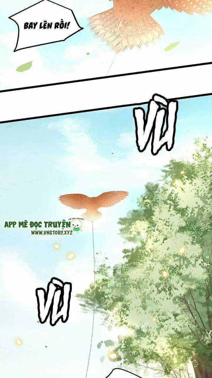 Phượng Hoàng Vu Phi Chapter 49 trang 11