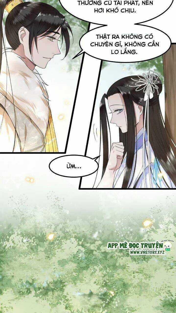 Phượng Hoàng Vu Phi Chapter 49 trang 16