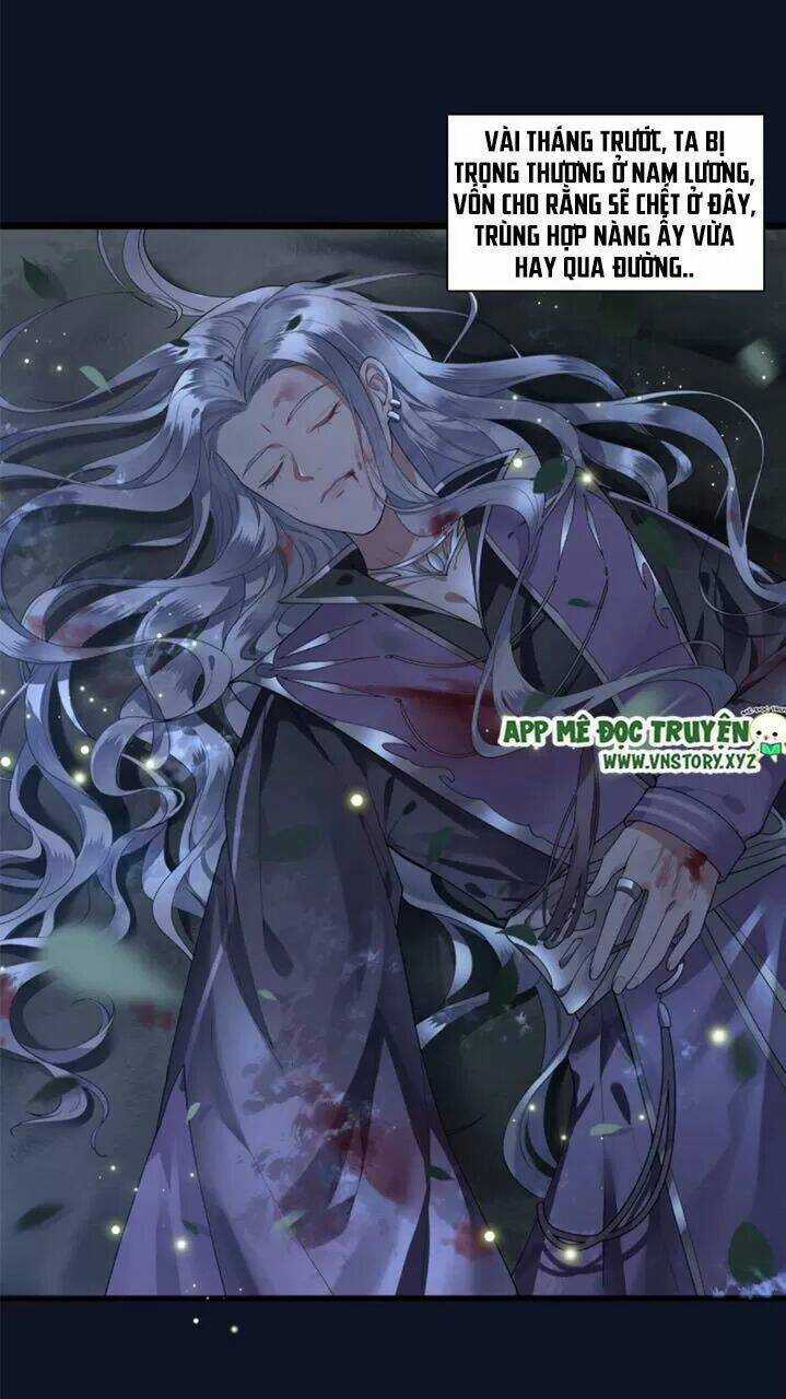 Phượng Hoàng Vu Phi Chapter 51 trang 3