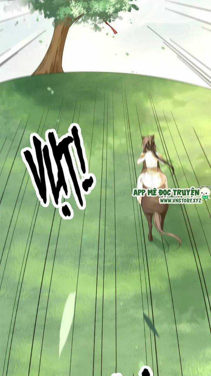 Phượng Hoàng Vu Phi Chapter 51 trang 36