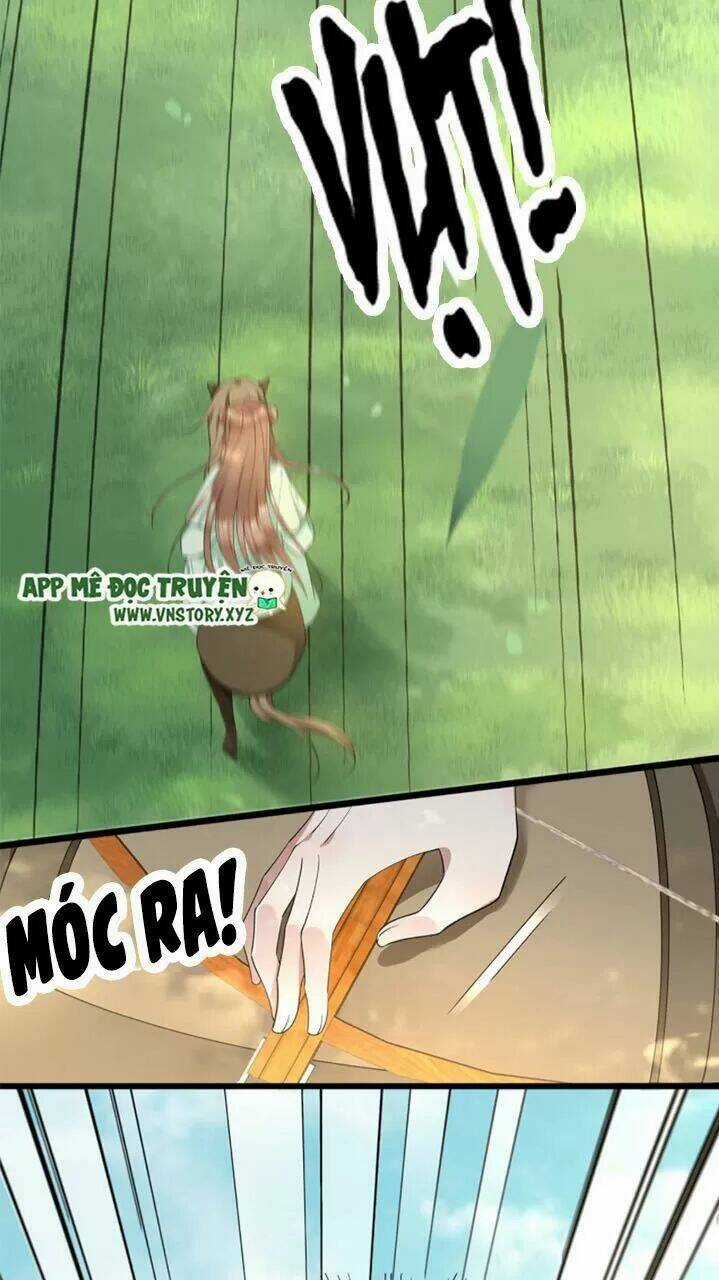 Phượng Hoàng Vu Phi Chapter 51 trang 37