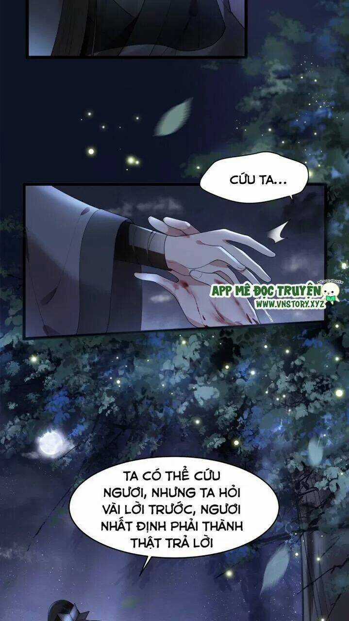 Phượng Hoàng Vu Phi Chapter 51 trang 5