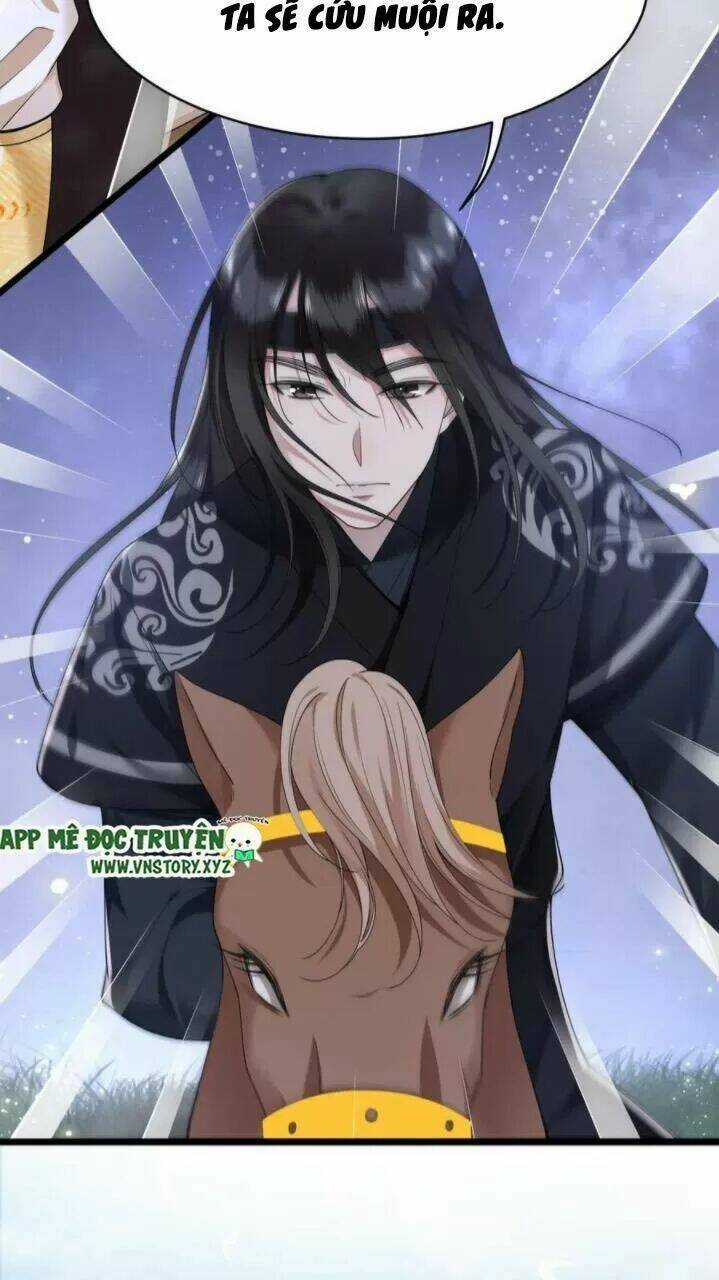 Phượng Hoàng Vu Phi Chapter 57 trang 25