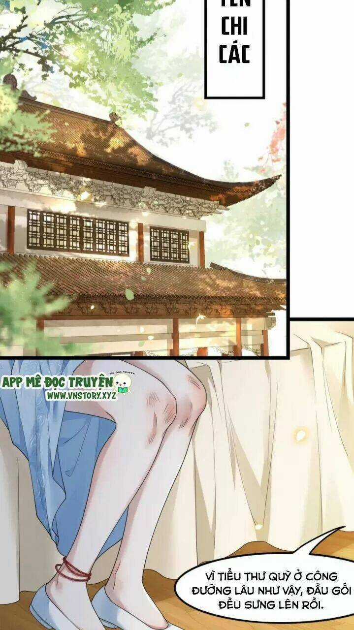 Phượng Hoàng Vu Phi Chapter 61 trang 24