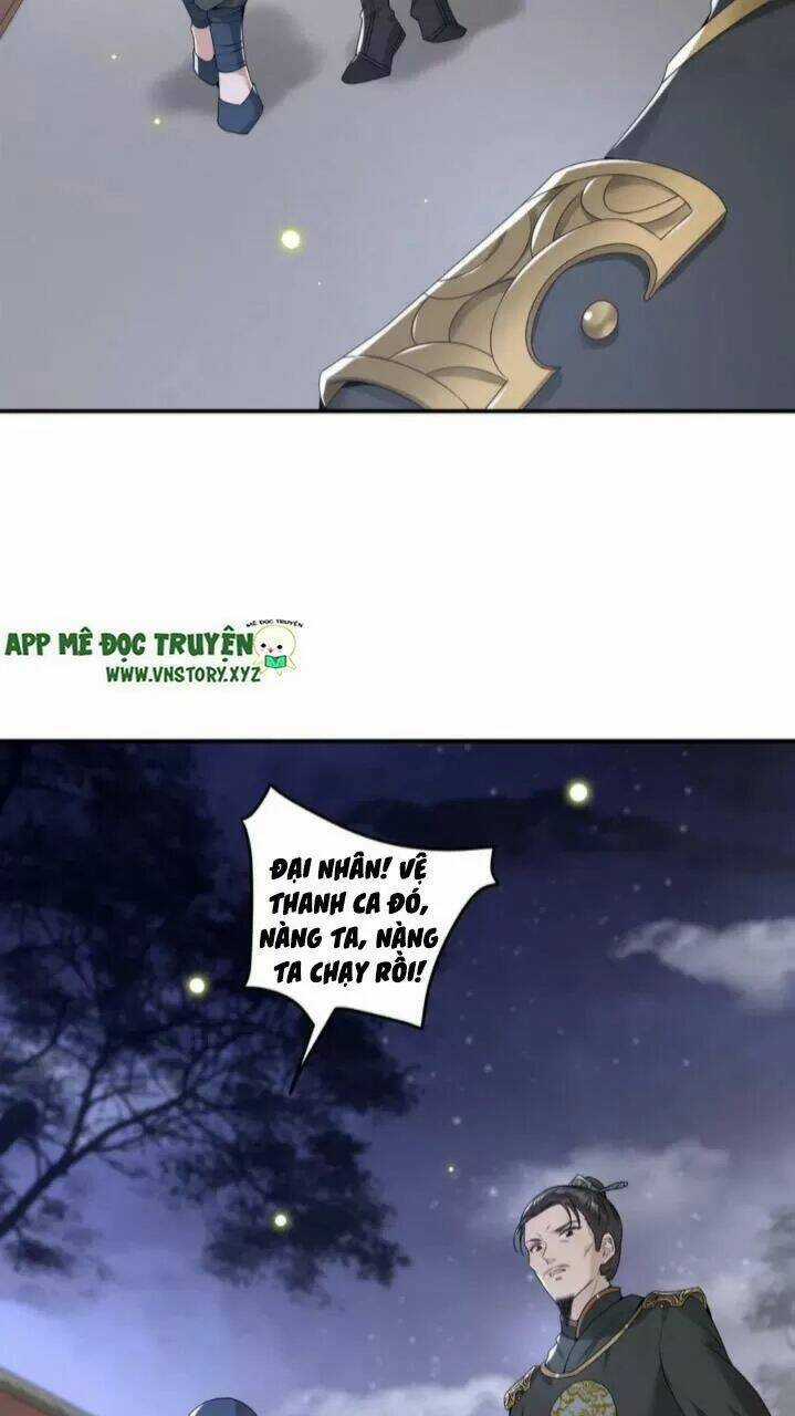 Phượng Hoàng Vu Phi Chapter 64 trang 31