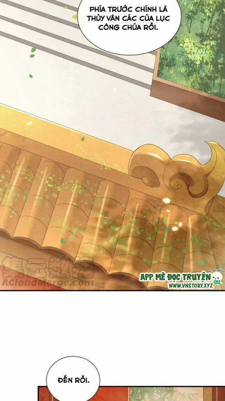 Phượng Hoàng Vu Phi Chapter 69 trang 19