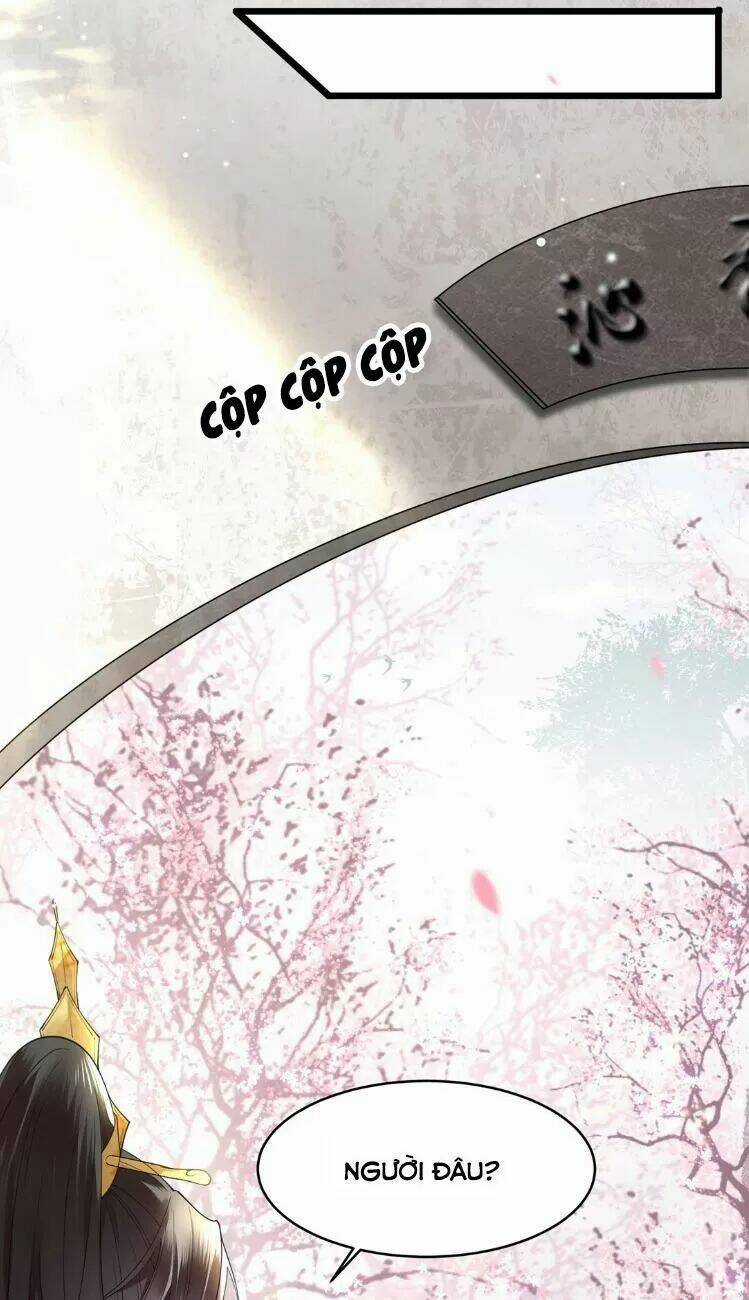 Phượng Hoàng Vu Phi Chapter 7 trang 4