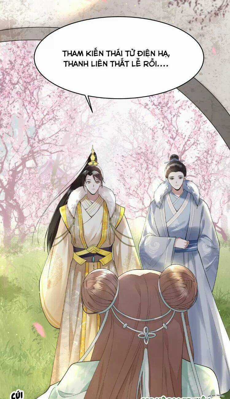 Phượng Hoàng Vu Phi Chapter 7 trang 8