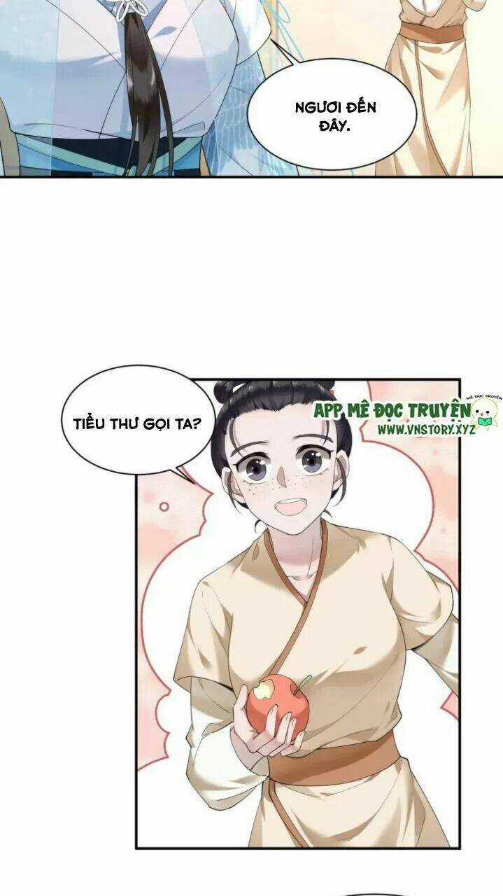 Phượng Hoàng Vu Phi Chapter 70 trang 15