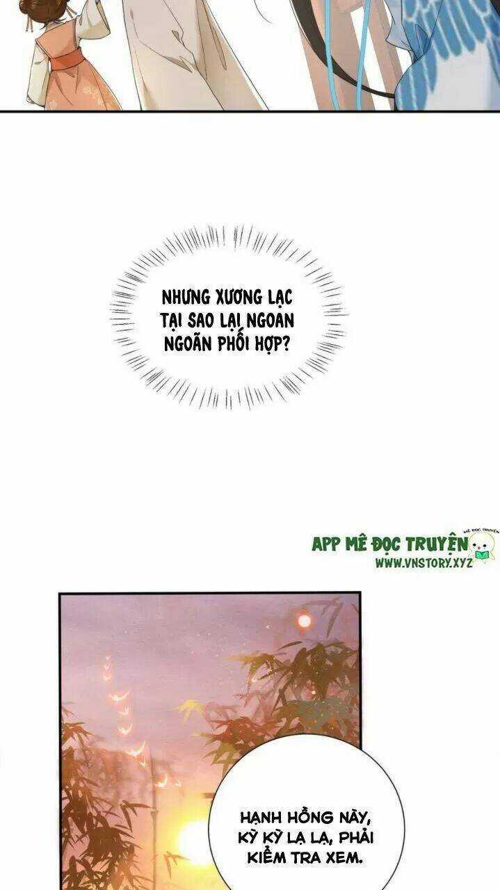 Phượng Hoàng Vu Phi Chapter 71 trang 13