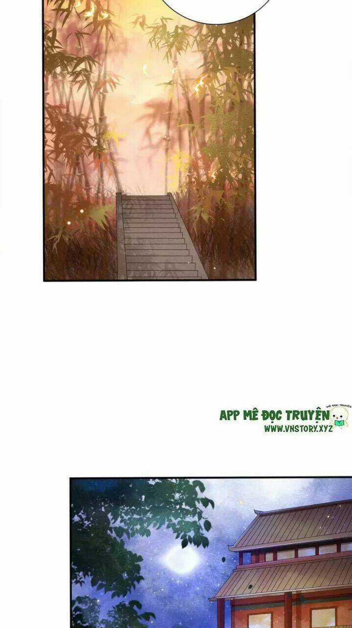 Phượng Hoàng Vu Phi Chapter 71 trang 14