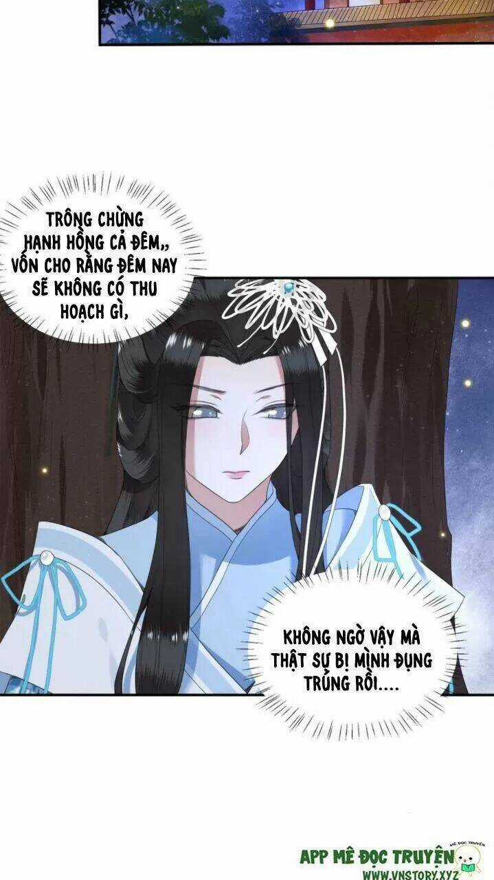 Phượng Hoàng Vu Phi Chapter 71 trang 15