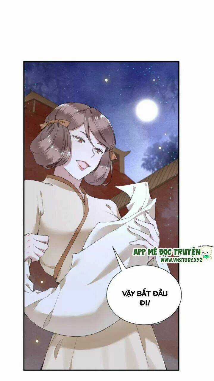 Phượng Hoàng Vu Phi Chapter 71 trang 19