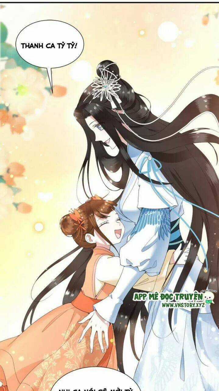 Phượng Hoàng Vu Phi Chapter 71 trang 5