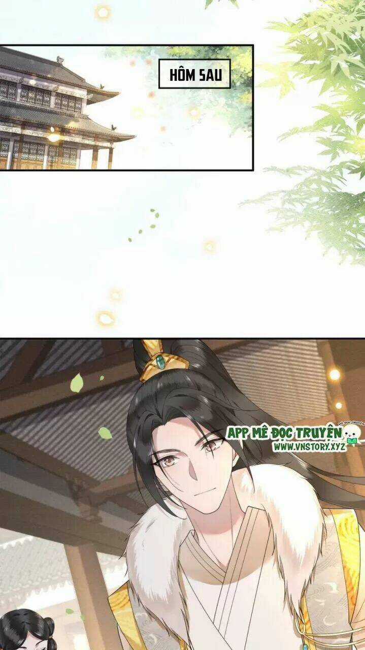 Phượng Hoàng Vu Phi Chapter 72 trang 17