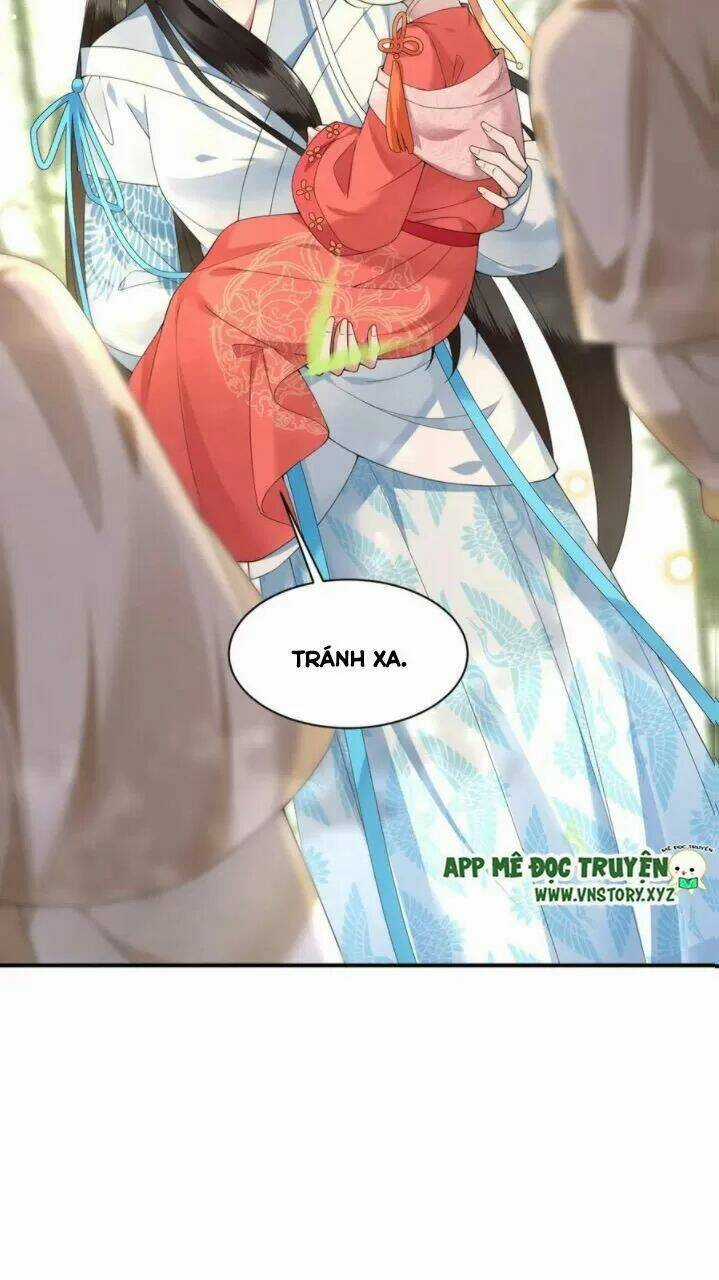 Phượng Hoàng Vu Phi Chapter 73 trang 4