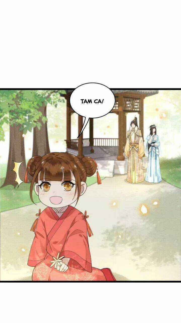 Phượng Hoàng Vu Phi Chapter 74 trang 29