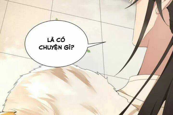 Phượng Hoàng Vu Phi Chapter 75 trang 22