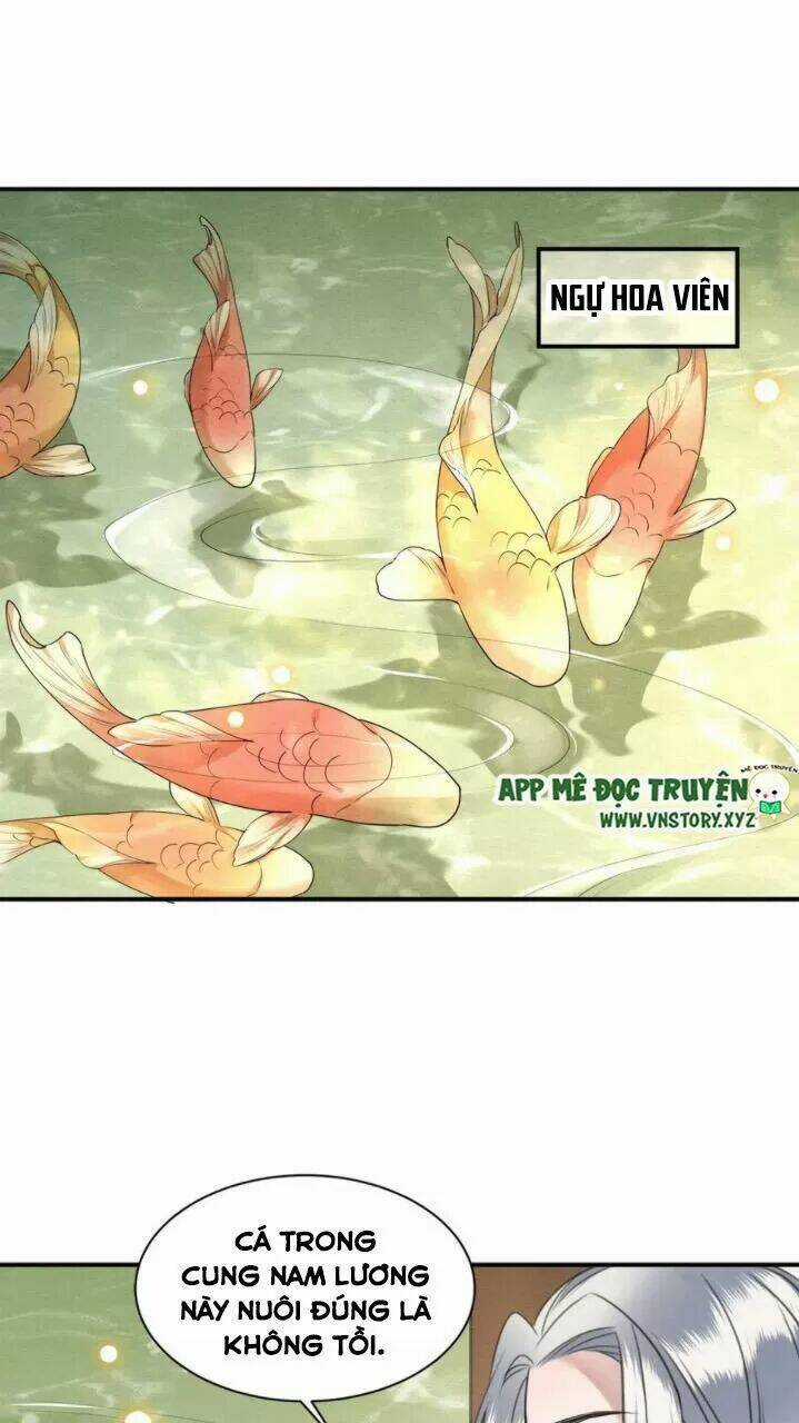 Phượng Hoàng Vu Phi Chapter 76 trang 29